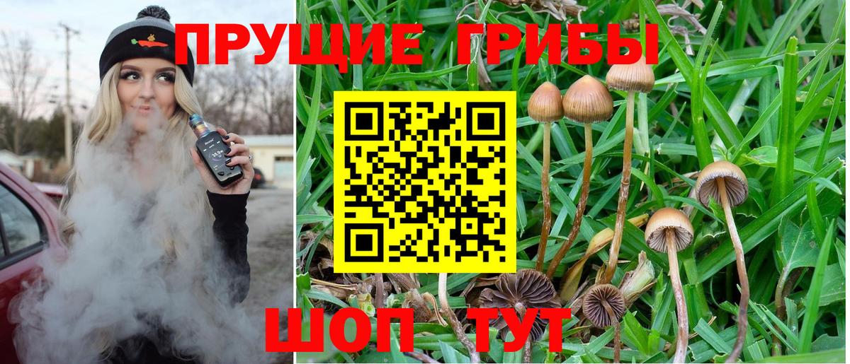 Галлюциногенные грибы MAGIC MUSHROOMS  Вход с VPN  Галлюциногенные грибы мухоморы  Советская Гавань 